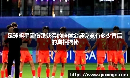 足球明星因伤残获得的赔偿金额究竟有多少背后的真相揭秘